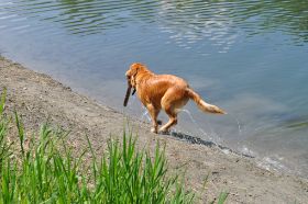 Lina aus Wasser läuft.jpg