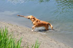 Lina kommt aus dem Wasser klein.jpg