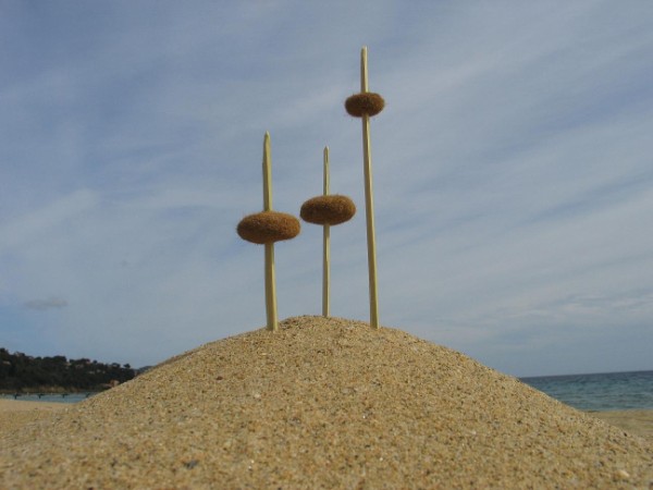 LandArt - ein einfaches Beispiel - man kann auch StrandArt sagen.